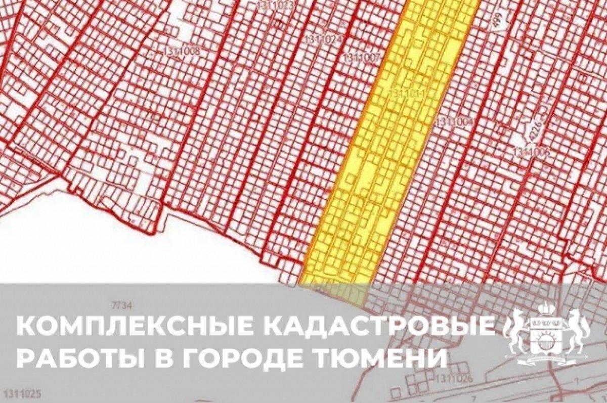    Завершается проведение комплексных кадастровых работ в СНТ «Тюменец»