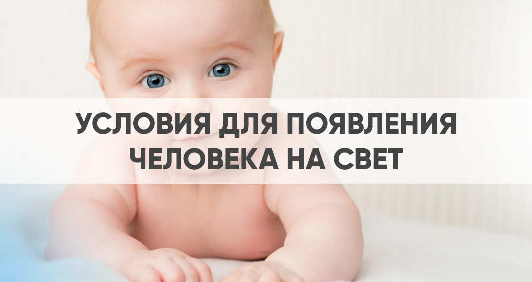 Как я появился на свет
