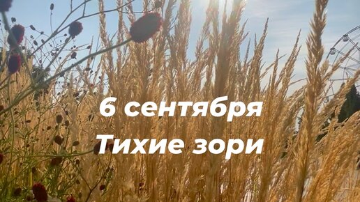 Сентябрь был тихий. Сентябрь был тихий