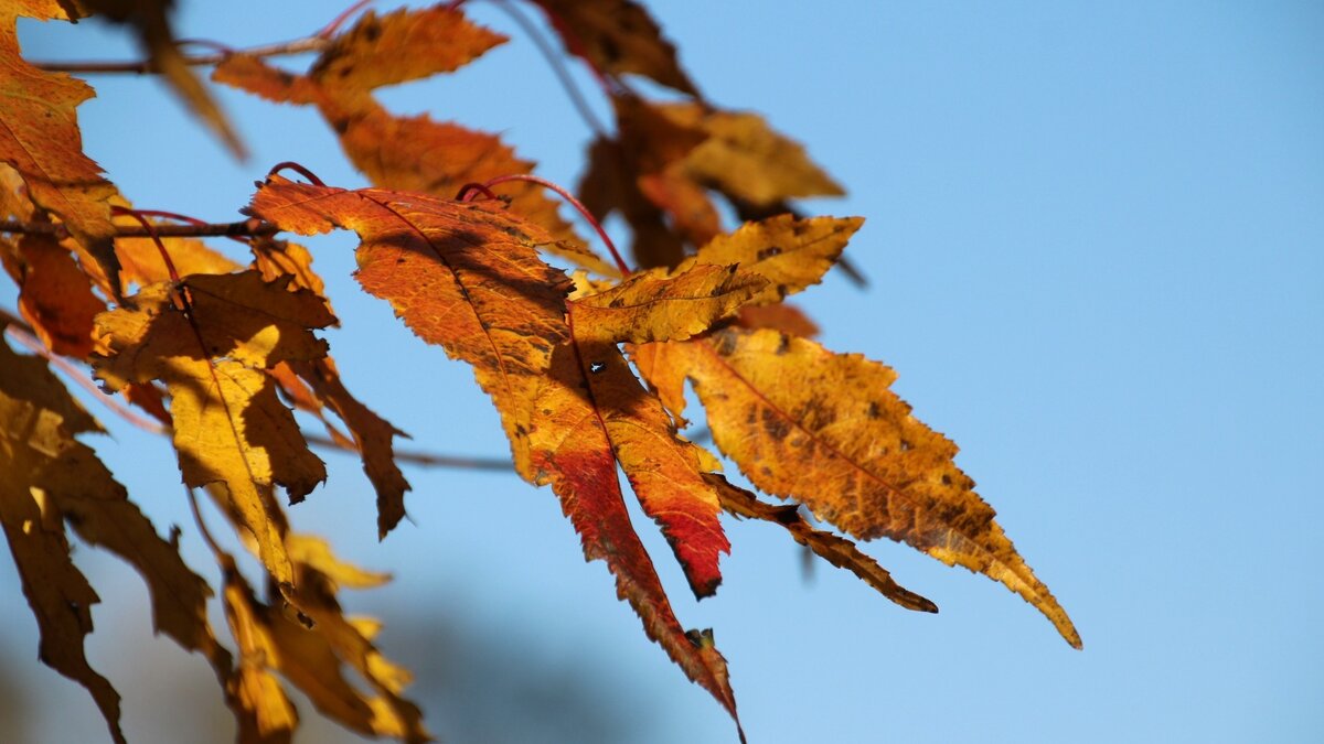     В республике прогнозируют мощное потепление, об этом сообщили синоптики в соцсетях.