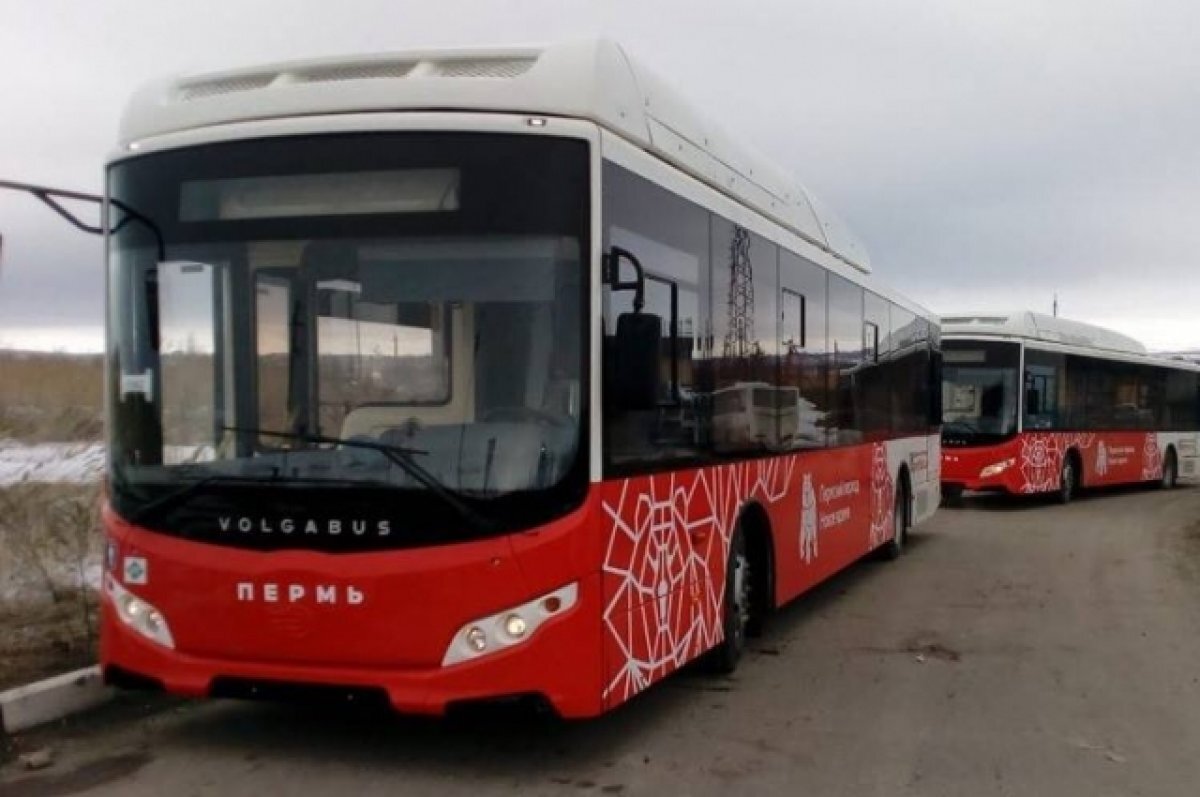    В Перми за полгода 25 млн пассажиров не оплатили поездки в транспорте