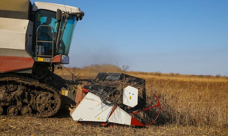    После тайфуна приморские аграрии вышли на уборку сои 2023