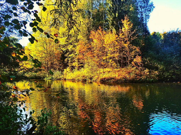    Золотая осень в Кировской области. Фотолента