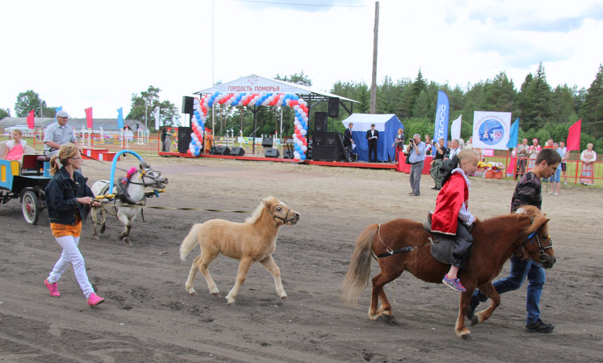 В параде участвовали даже совсем миниатюрные пони.