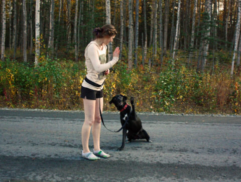 Не любите пешие прогулки? Заведите питомца с которым нужно будет гулять — новый друг и профилактика варикоза в одном флаконе