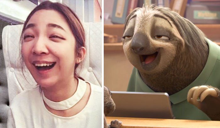 Эта девушка очень сильно похожа на ленивица из «Зверополиса»
