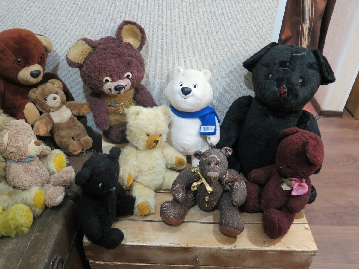 что любит мишка. что любит мишка. музей мишки ярославль. мой любимый мишка. мой любимый мишка.