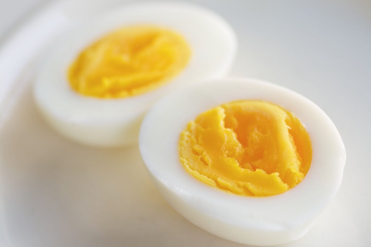 Как проверить свежесть яйца, опустив его в воду
