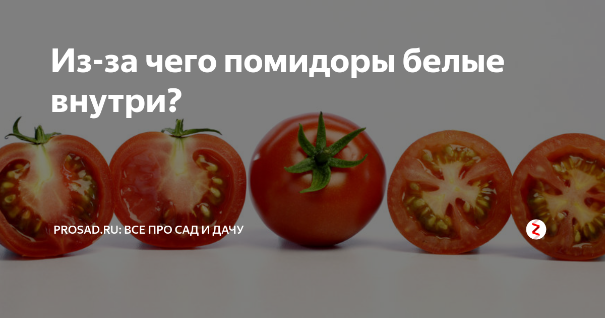 Семена Помидор Италия - купить в интернет-магазине OZON по низкой цене