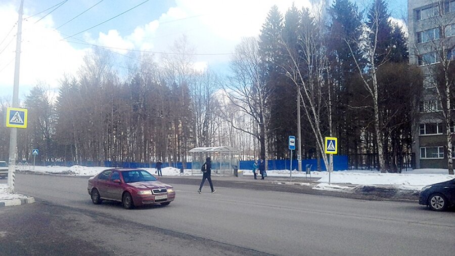 

То, что осталось от леса
