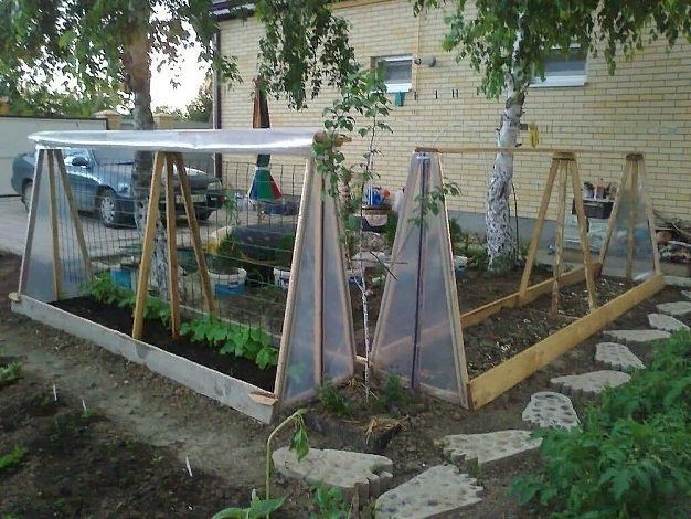 фото из интернета