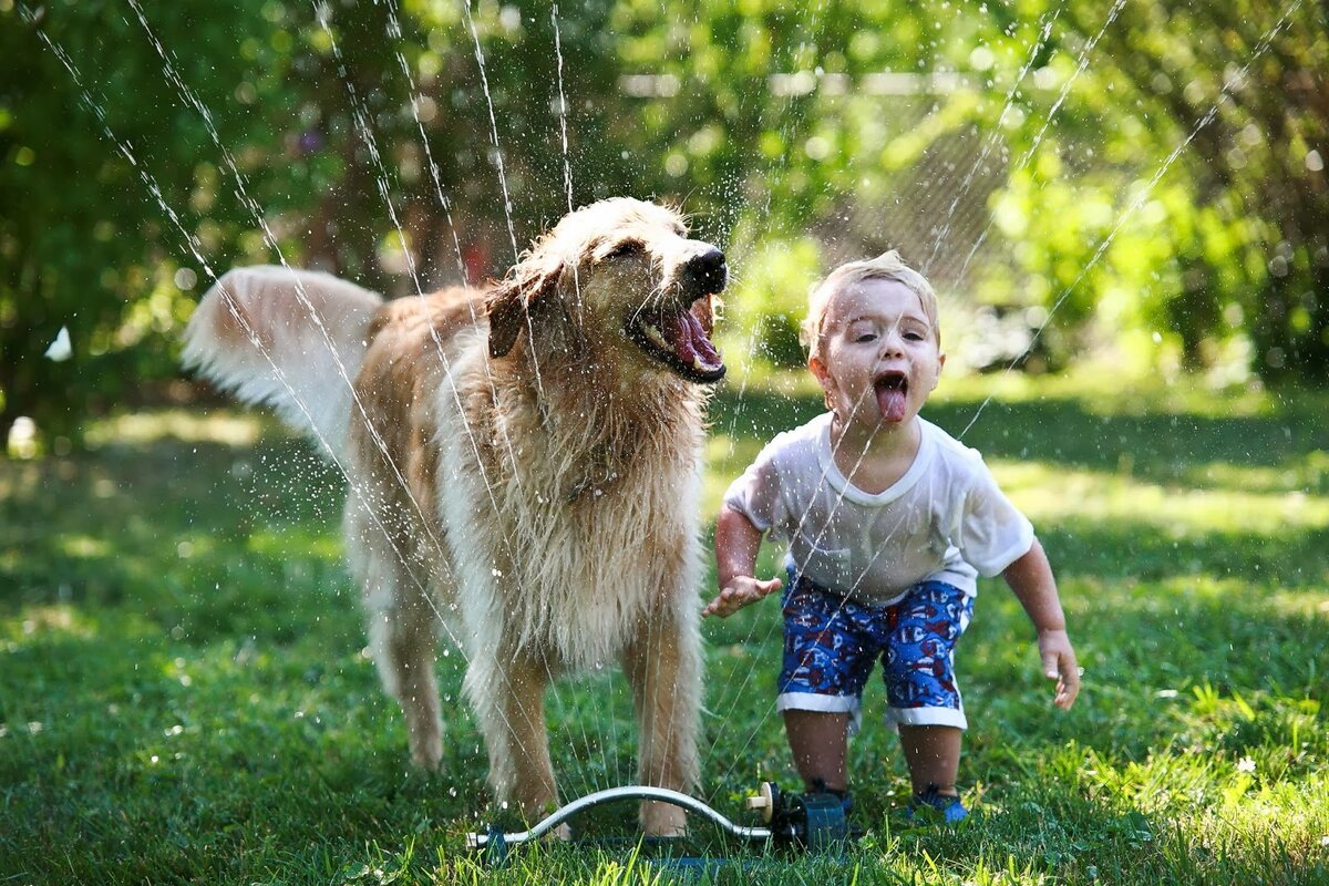 Собаки-няньки: 6 лучших пород для детей | Собакусь | Дзен