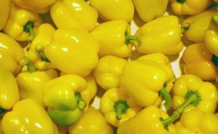Обзор сортов желтого перца и особенности выращивания