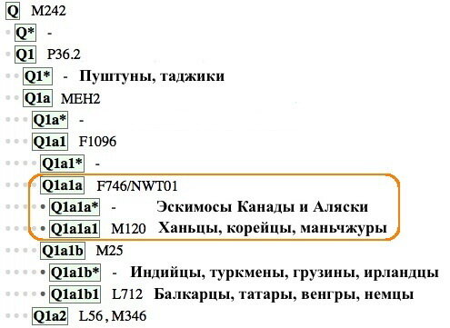
 Напомню, что американские индейцы относятся к другой ветви этой  гаплогруппы, а именно Q1a2a1 (L54), и их общий предок с найденной у  эскимосов генеалогической линией уходит не менее чем на 20000 лет назад.  Родство последней с дальневосточной ветвью М120 дает возможность  предположить, что мы видим след миграции в Америку, прошедшей после  того, как растаял ледник, и перешеек между Чукоткой и Аляской скрылся  под водой. Чтобы проверить это предположение, надо рассчитать, как давно  жил общий предок двух ветвей, во время существования Берингии или  после.
 
