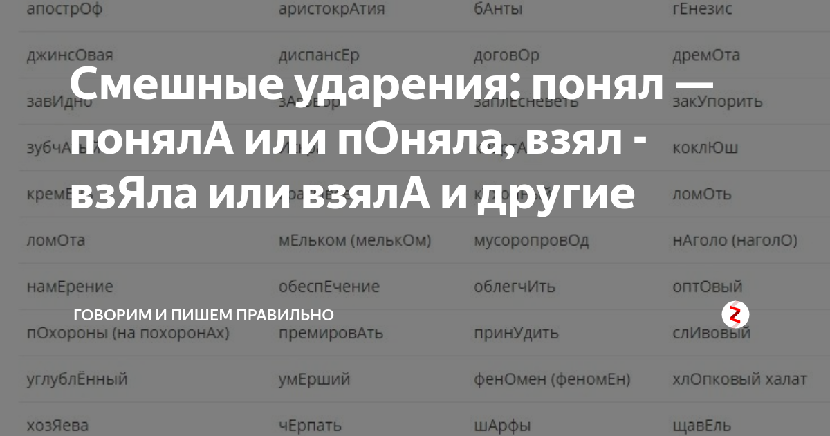 Взяла хозяева звонит понял ударение