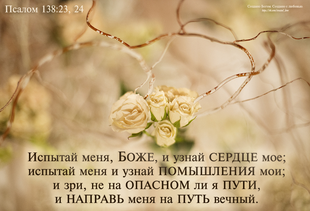 Псалом 18 на русском. Стихи из Библии. Стихи из Библии в картинках. Стихи из Библии на каждый день. Христианские открытки со стихами из Библии.