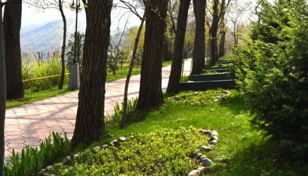 Аллея влюблённых — самое романтичное место в парке Кок-Тюбе