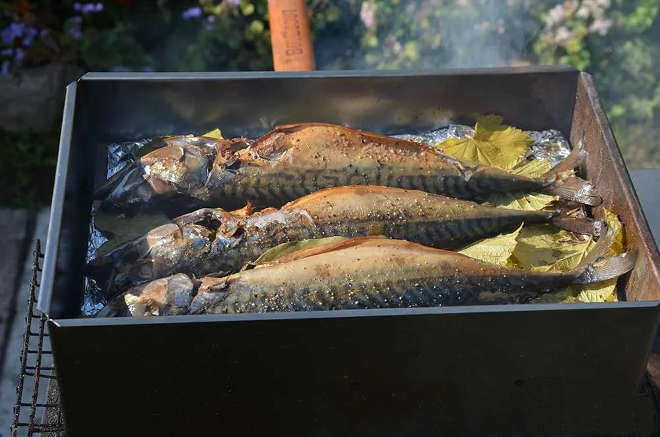 Домашняя скумбрия горячего копчения