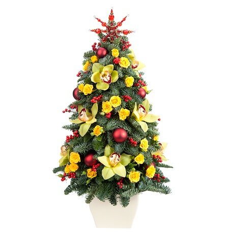 Цветочная феерия 