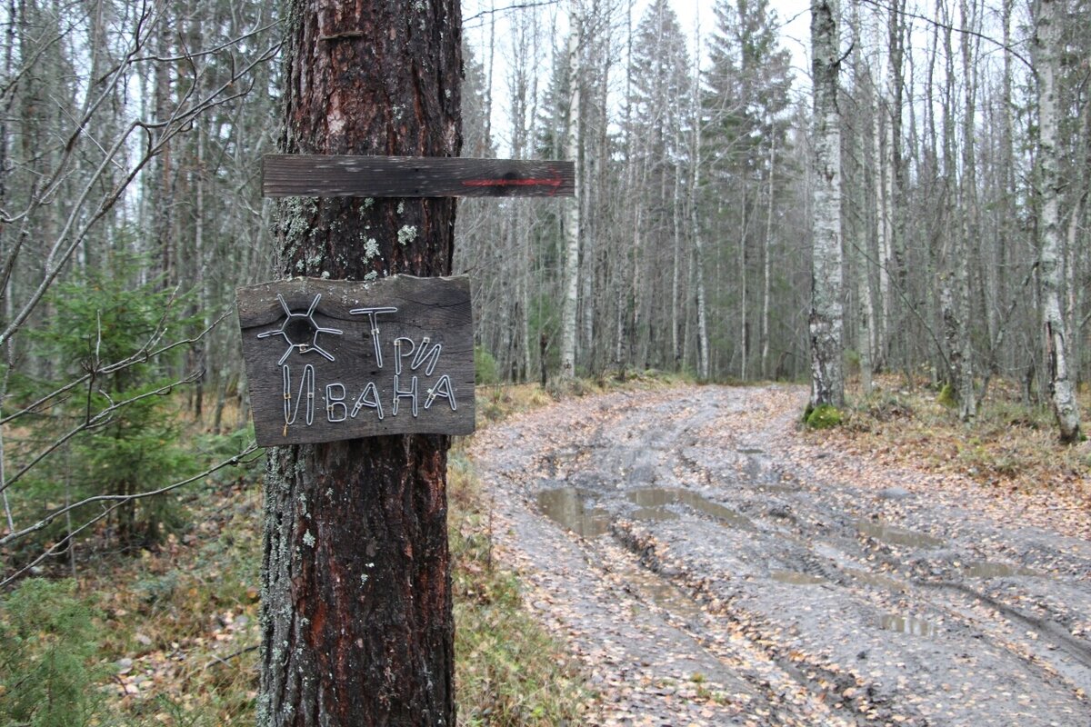 Дорога к источнику