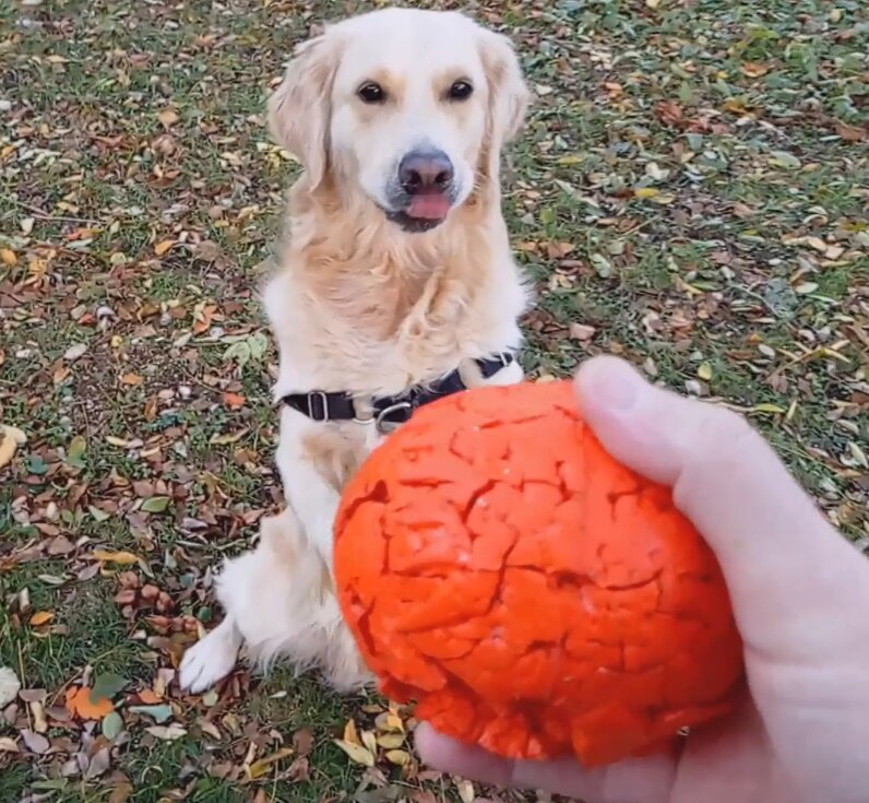 Куба за мячик родину продаст