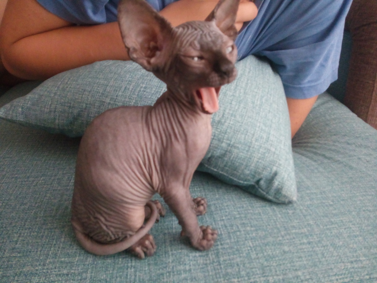 первый день на новом месте, зверь в основном спал