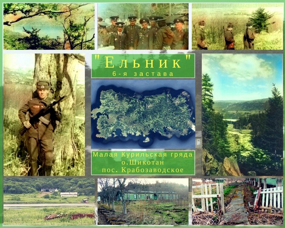Фото коллаж "Ельник", автор Денискина Застава.
