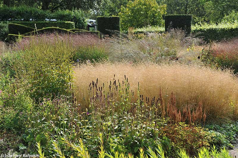 Сад Пита Удольфа, Хуммело