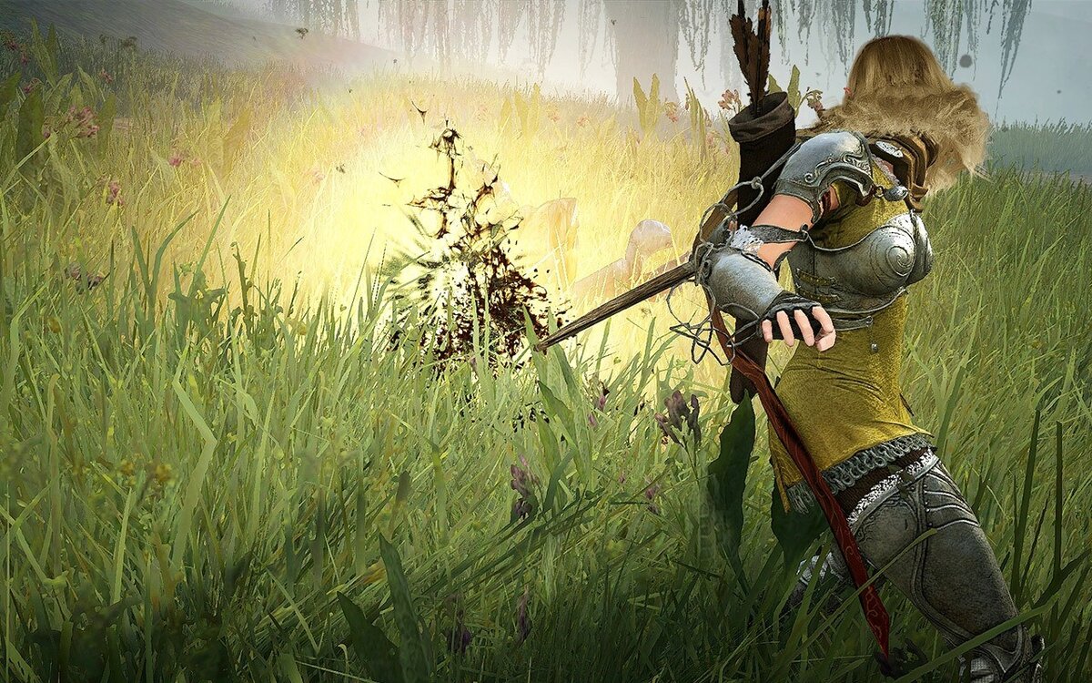 Black Desert Online 