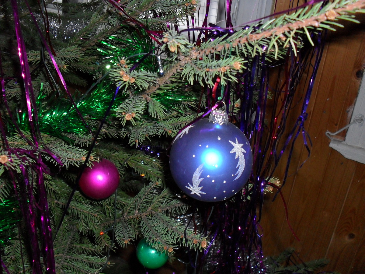 Фотография автора