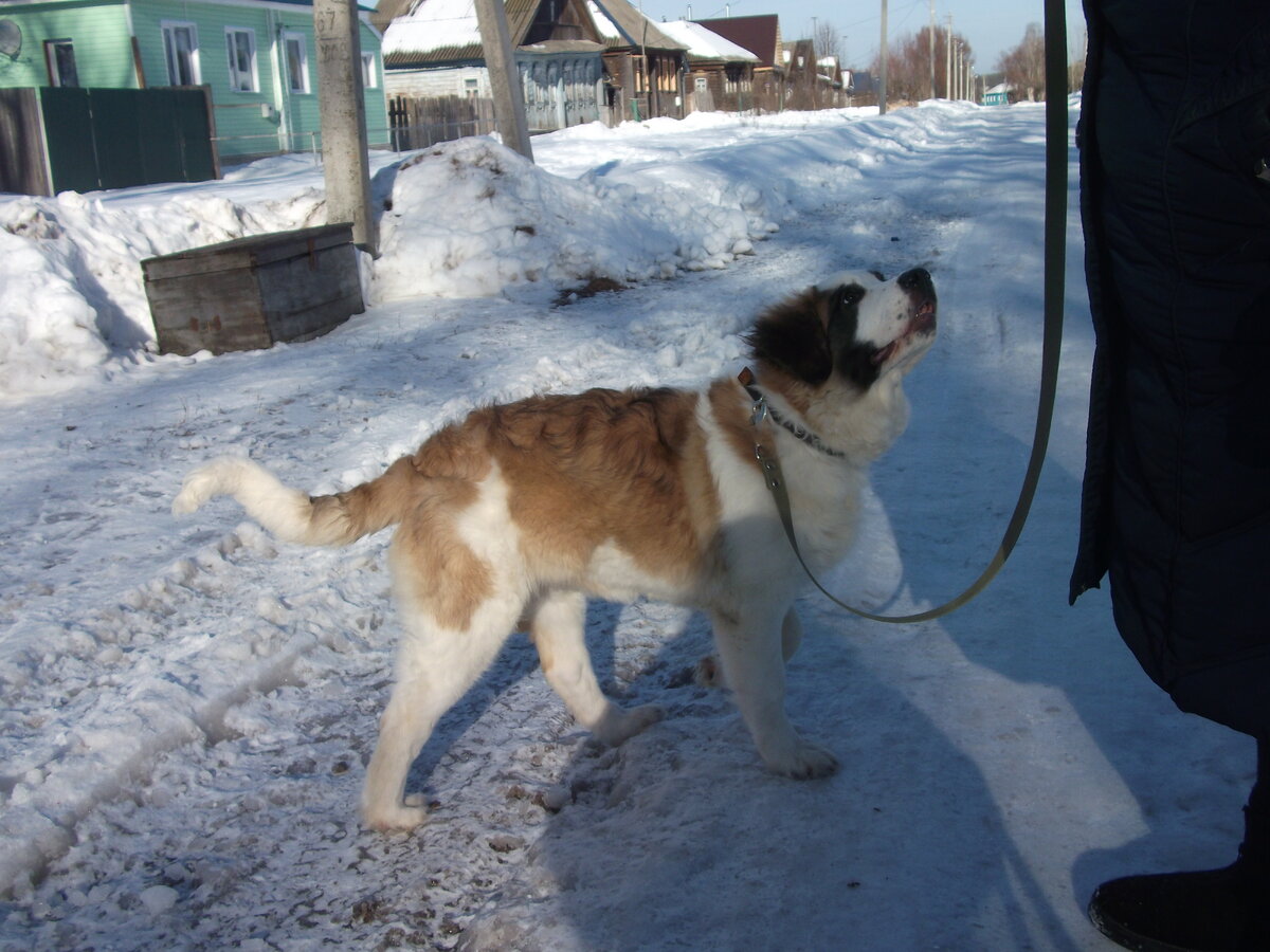 Подросток и моменты воспитания.