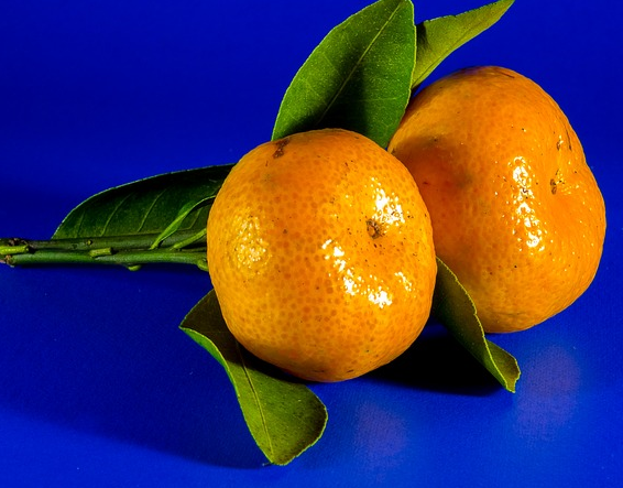 фото: https://pixabay.com