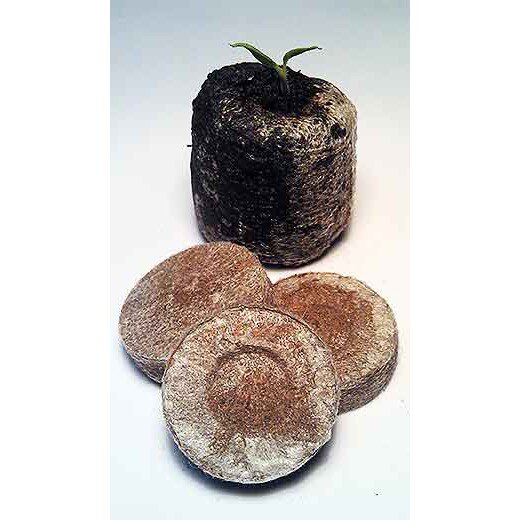 Фото взято из открытых источников