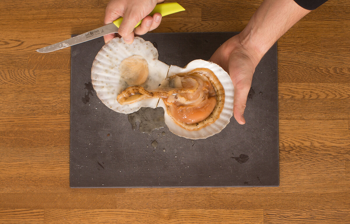 Открытый гребешок морской гребешок. Морской гребешок шелл. Обработка морских гребешков. Как открыть гребешок. Королевский гребешок.