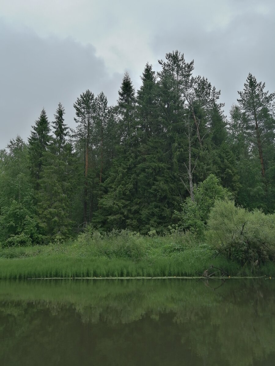 Сплав р.Вига - р.Унжа 2019 г. | nature_fishing_travel | Дзен