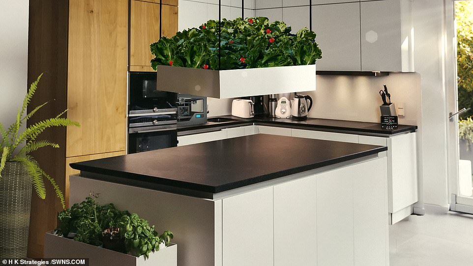 Фото из открытых источников