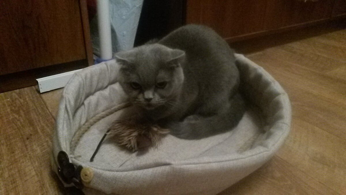 Наверное вот это место мне подходит.