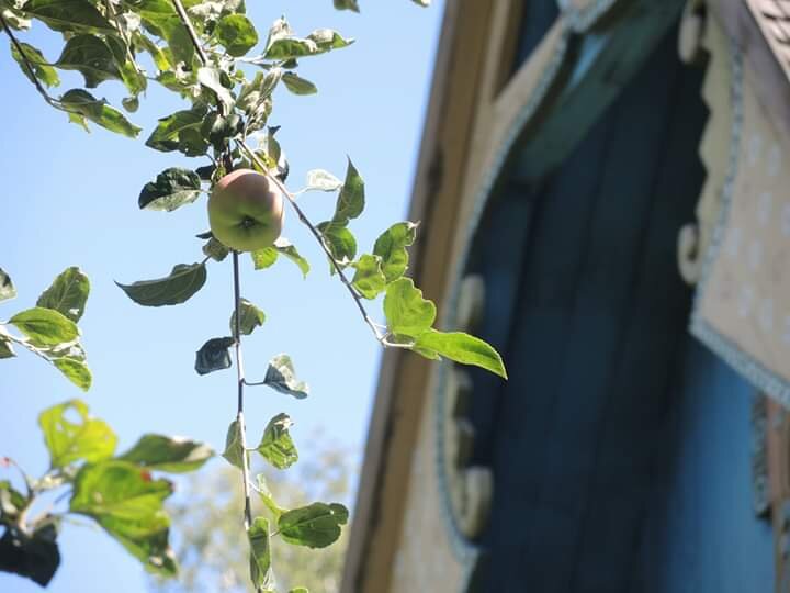Фленово