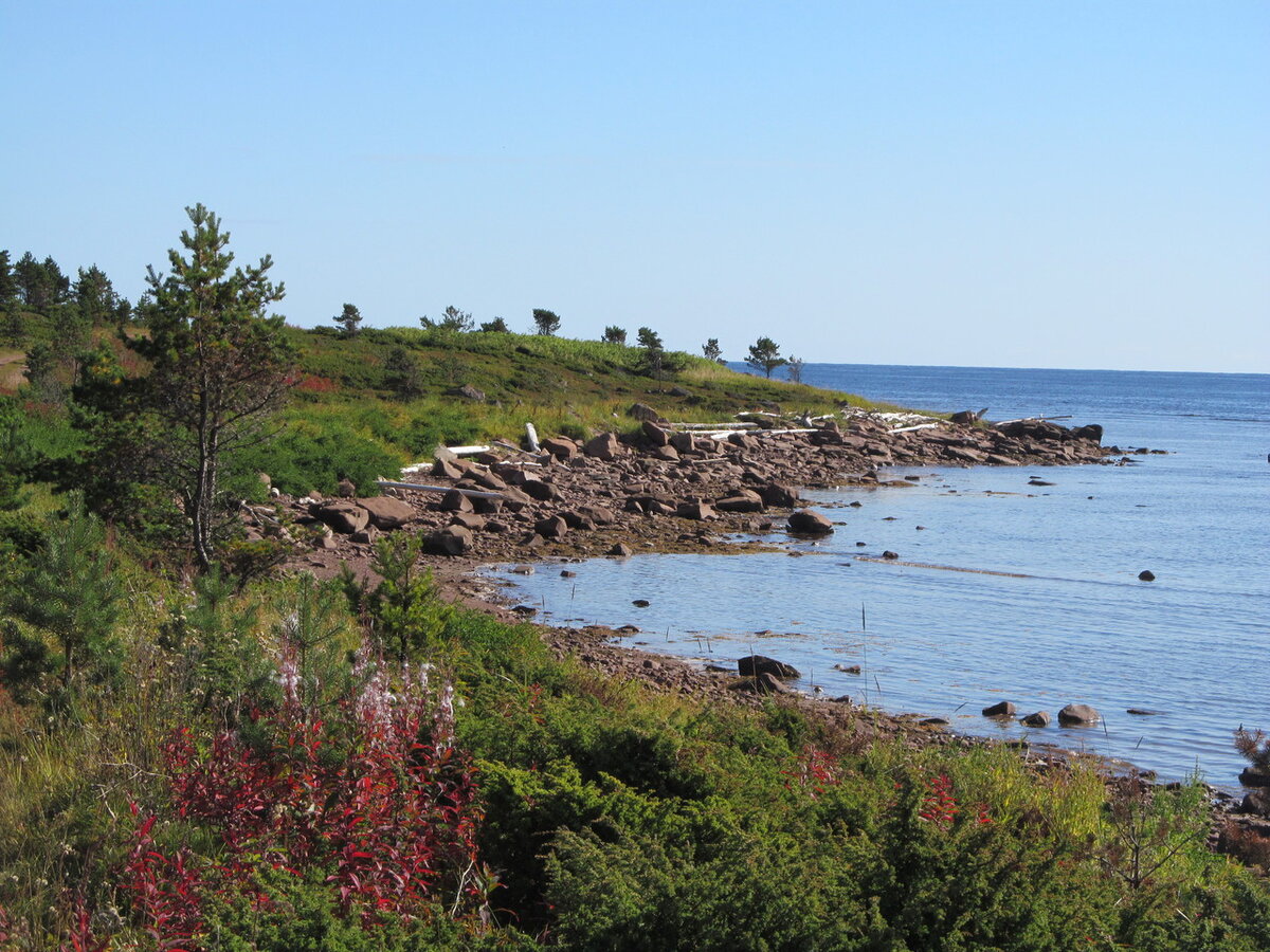 Белое море, Терский берег, конец августа