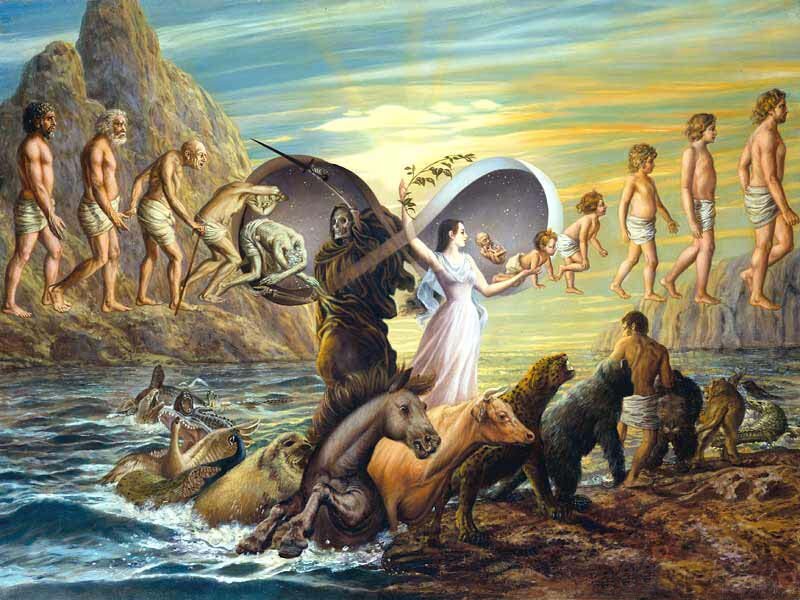 Источник изображения:  jogapont.hu