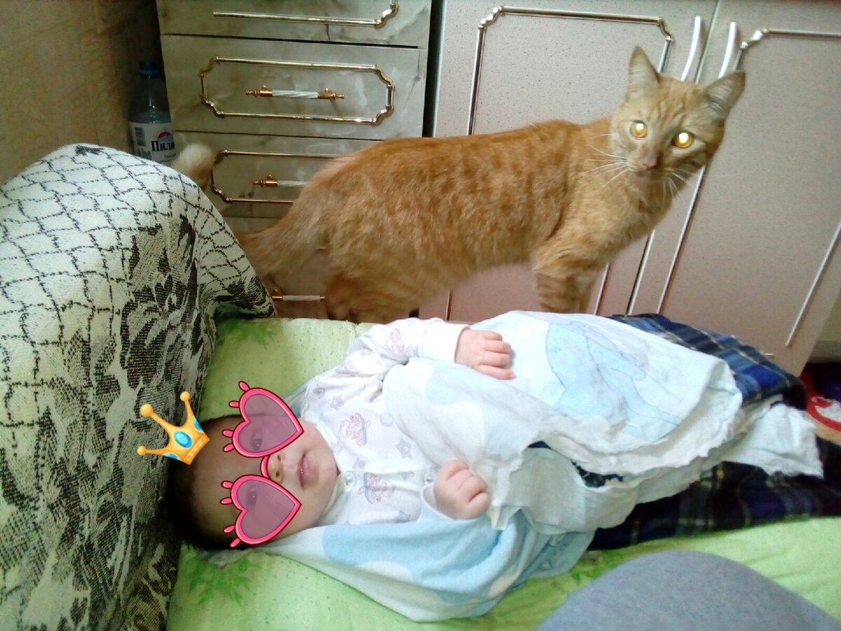 Усатый нянь и малышка