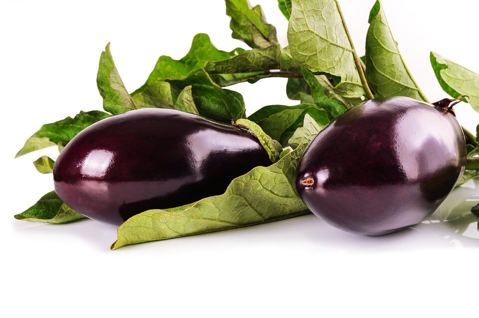 https://cdn.pixabay.com/photo/2016/09/10/17/47/eggplant-1659784_960_720.jpg