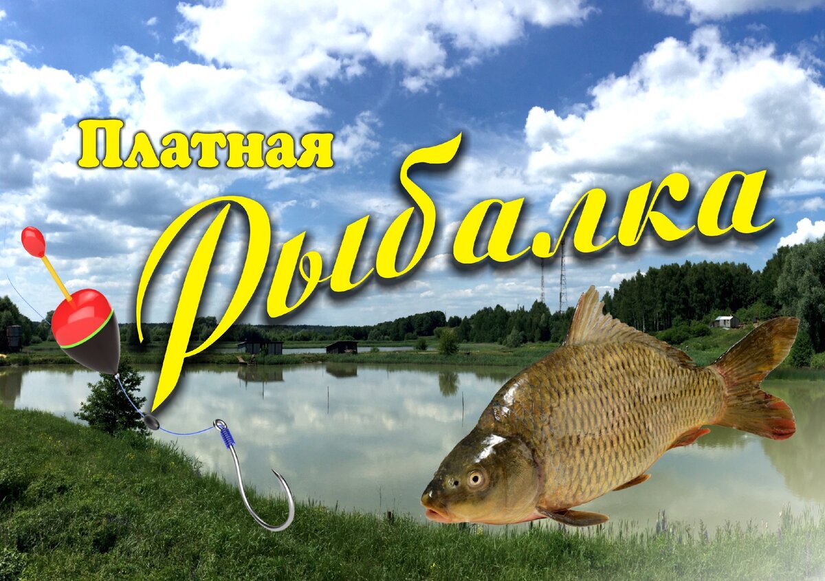 Рыбалка реклама баннер