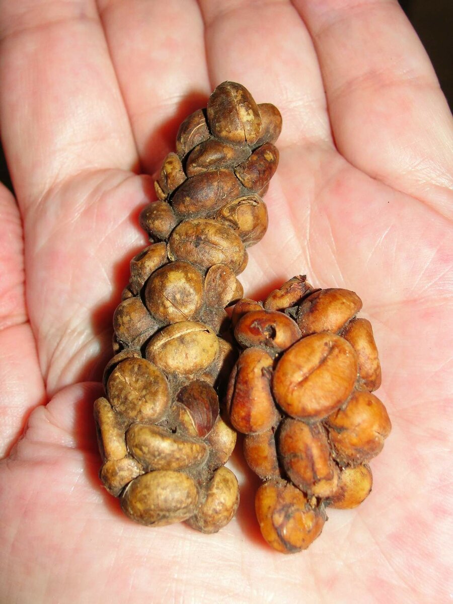 Источник фото Яндекс.Фотографии