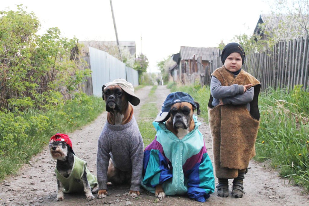 dog-blog.ru