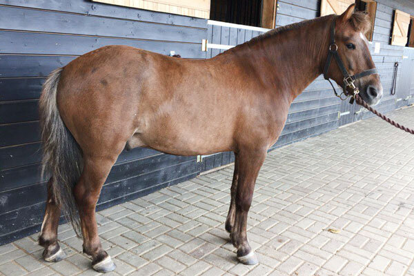 Фото из частной коллекции