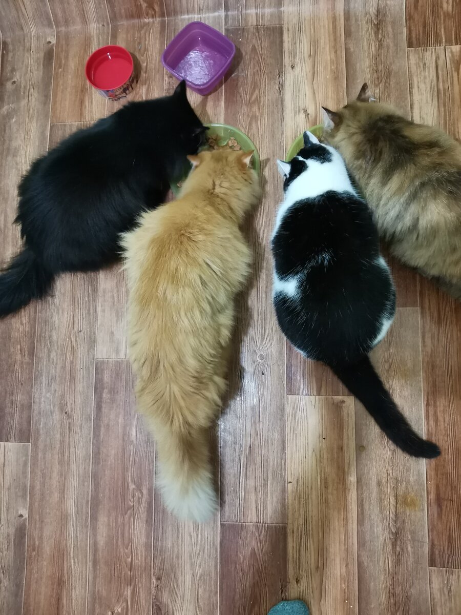 Личные архивы