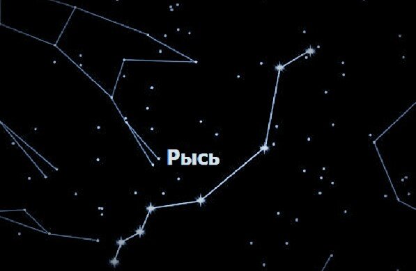 Созвездие Рысь