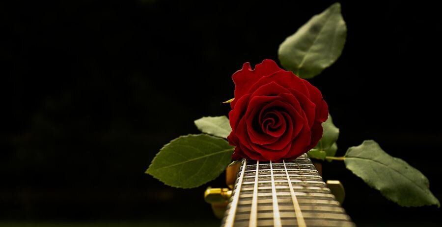 И даже кони, между прочим, Спокойно, мирно где-то спят!