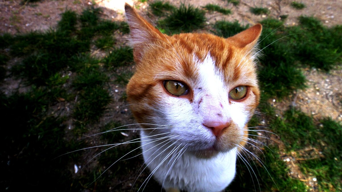 "Вы - привлекательны. Я - чертовски привлекателен!"